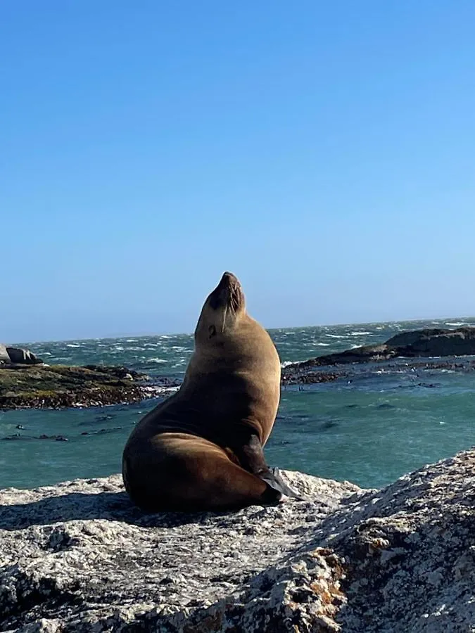 Ferienwohnung Whale Rock Kapstadt Südafrika